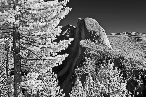 DeLapp_080307_CRW_0725.jpg