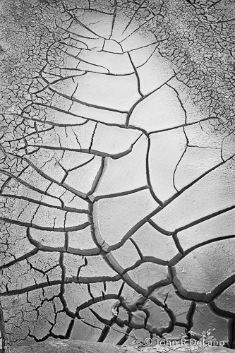 DeLapp_070610_MG_3830.jpg