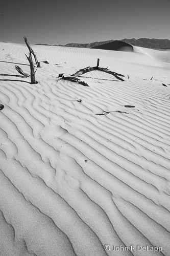 DeLapp_070821_MG_0329.jpg