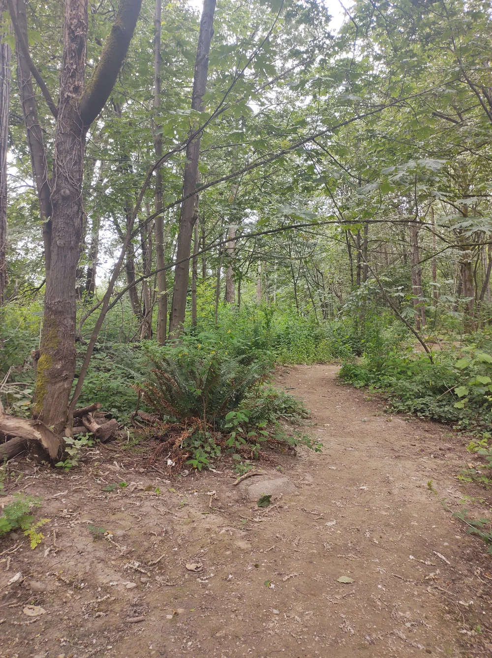 Tribal Historic Preservation — Duwamish Tribe