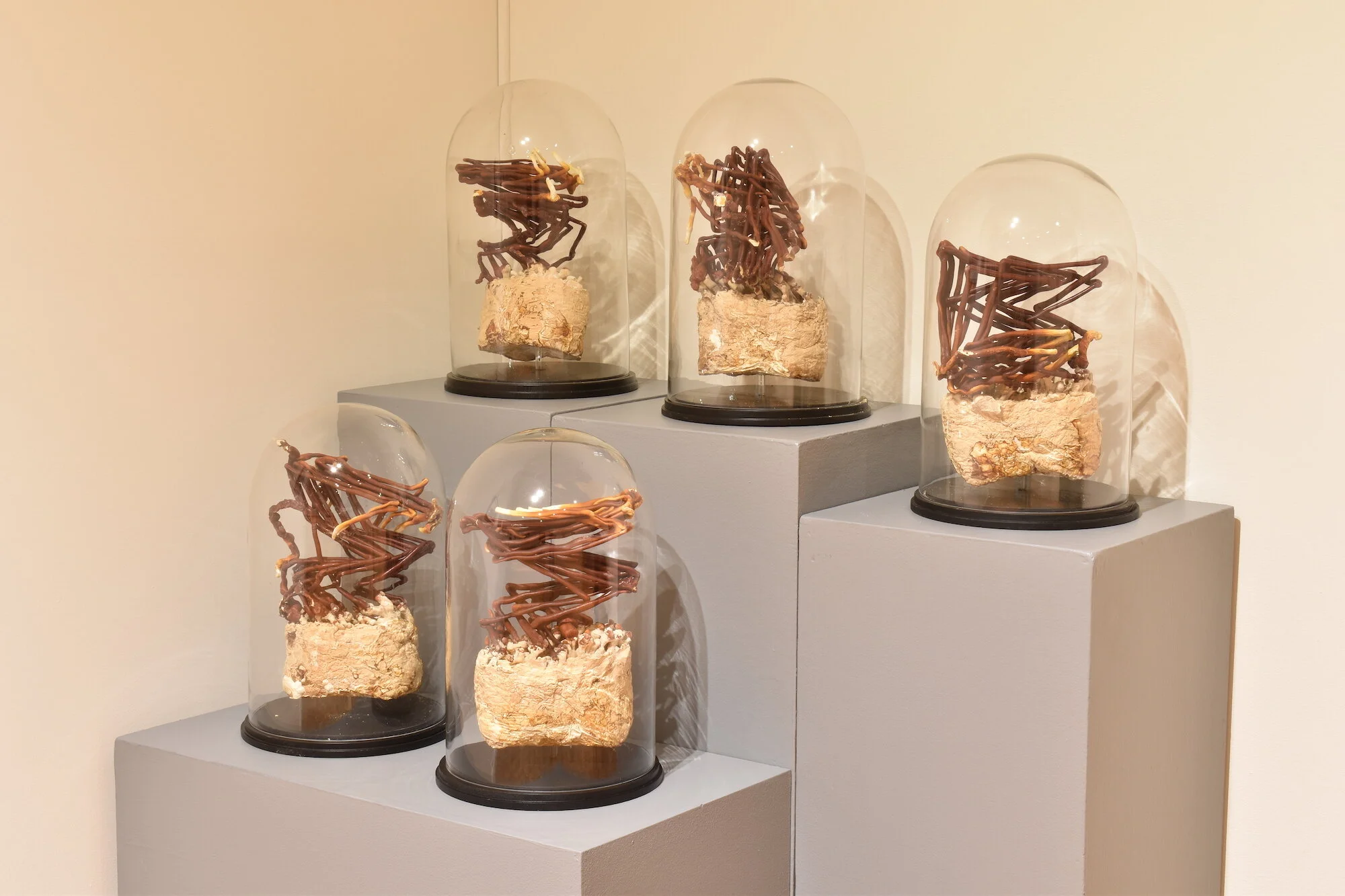 Acts of Transformation