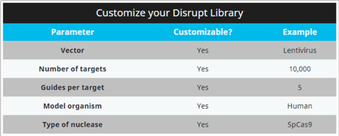 Example of a customised CRISPR library for gene disruption, with a choice of delivery system and other factors ( www.deskgen.com )
