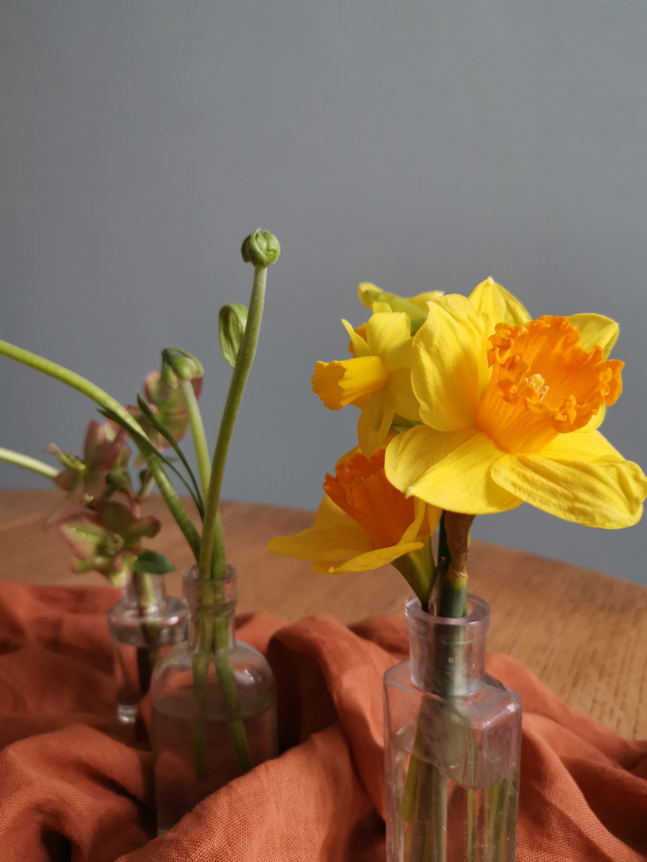 daffodils hellebores ranunculus in glass bottles webb and farrer.jpg