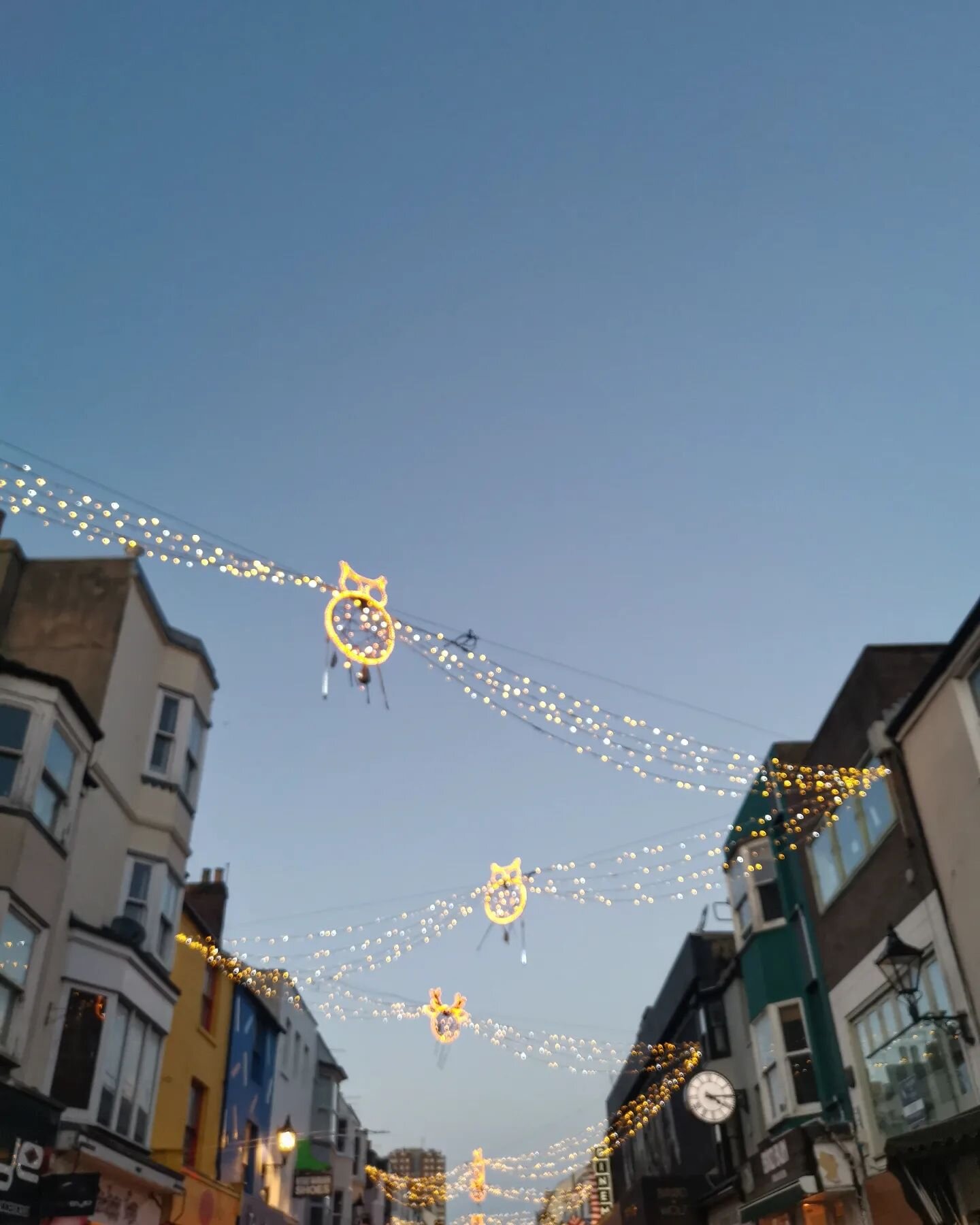 December so far.

Bracing Winter walks, wreath making, and collecting tree decorations off the living room floor each morning 😽. 

Have you got your tree up yet?

#brightonchristmas #wreathmakingworkshop #sussexwreathworkshop