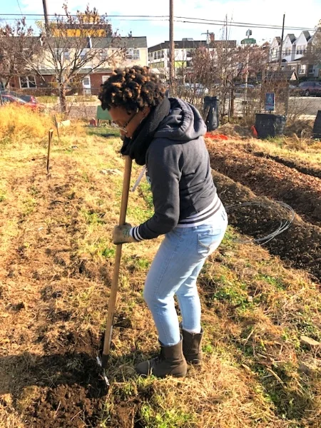 Volunteering at a local farm in West Philly