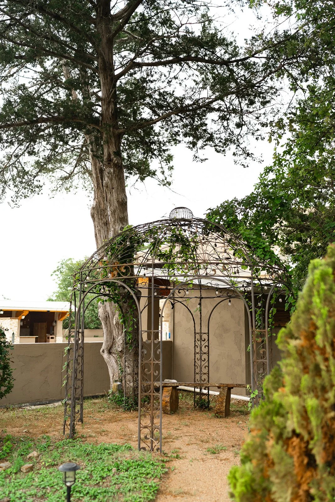 unique-austin-wedding-venue-shiraz-garden (9).jpg