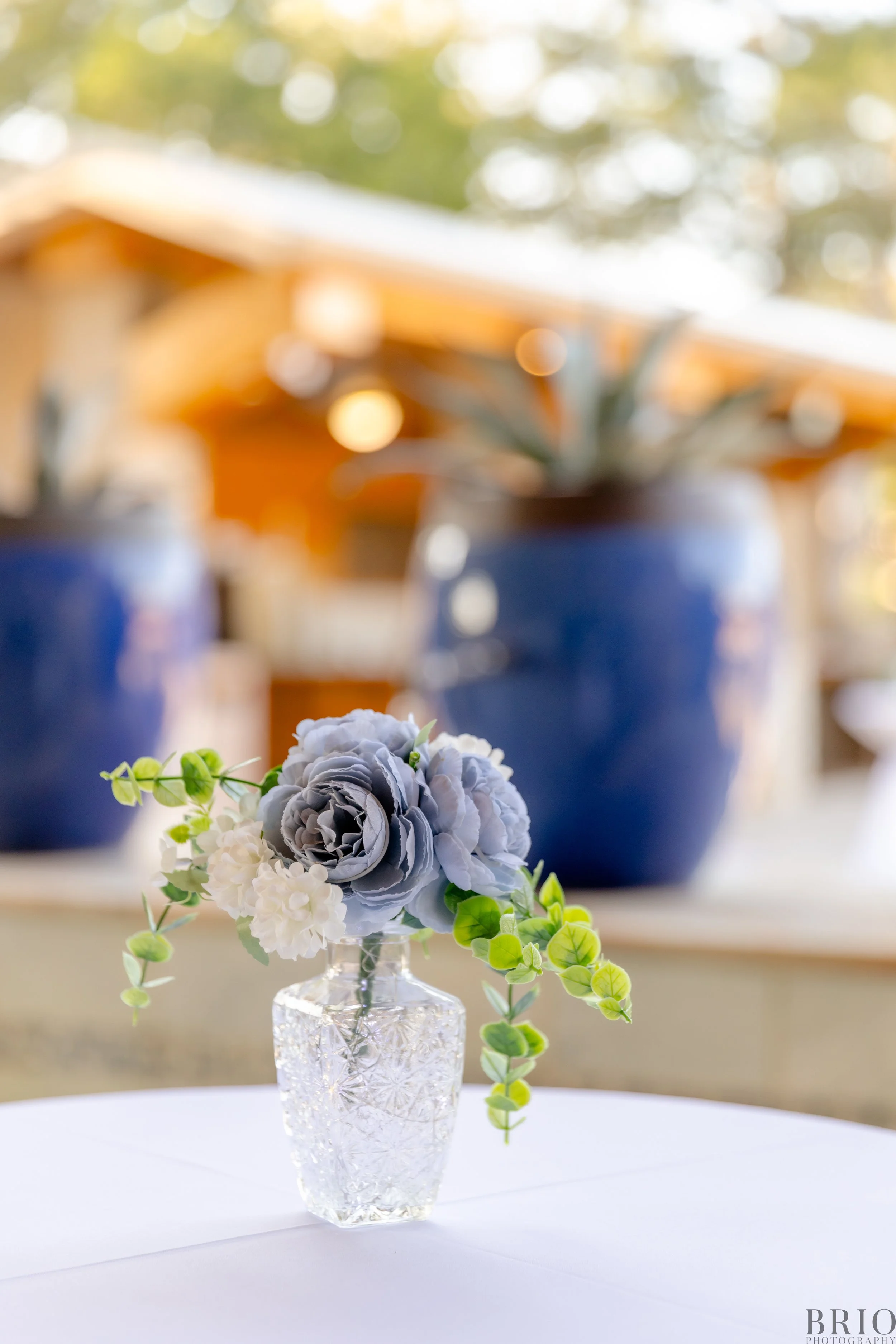 1144_Brio Photography.JPG