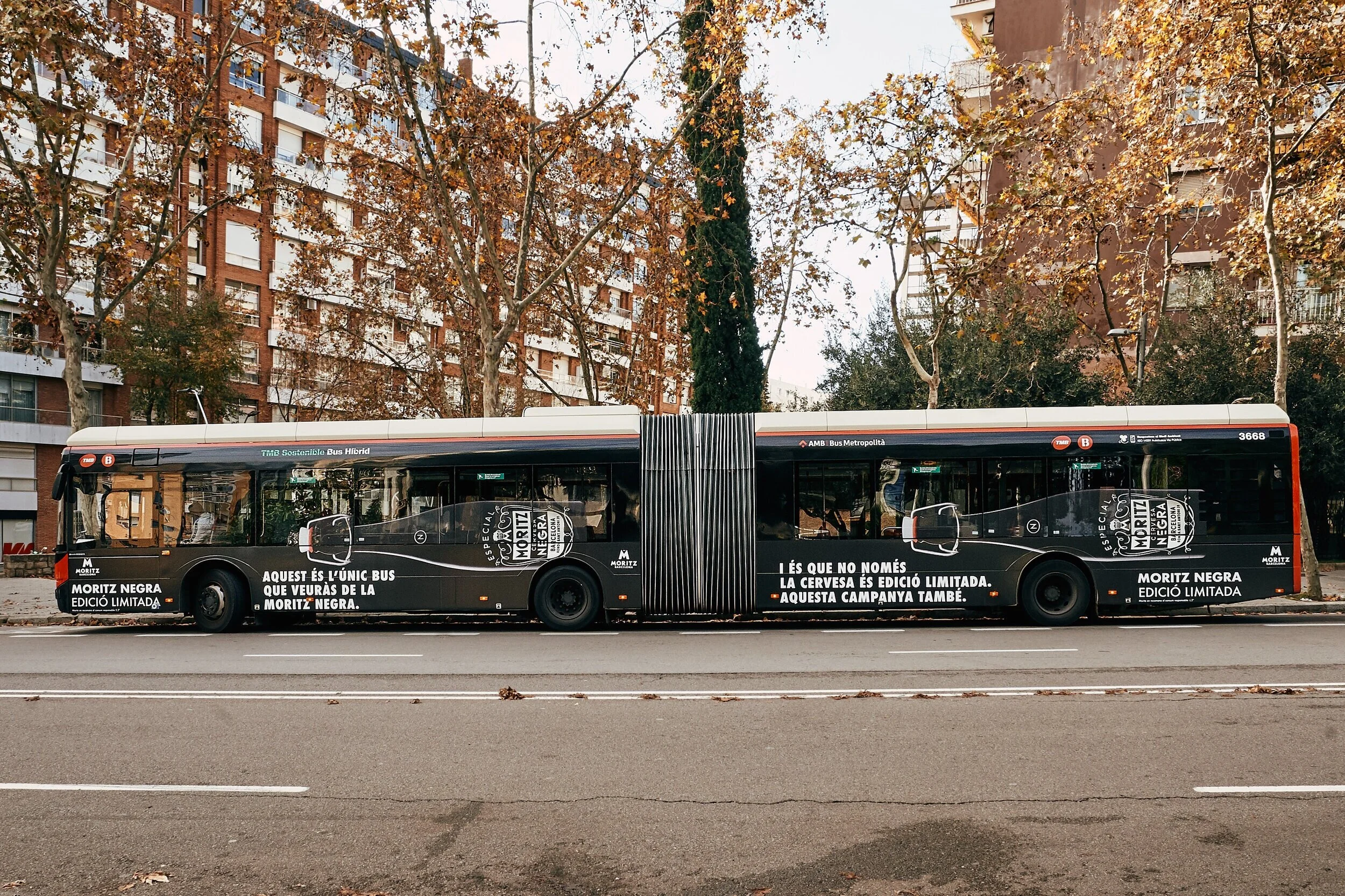 BUS_2%2B1.jpg