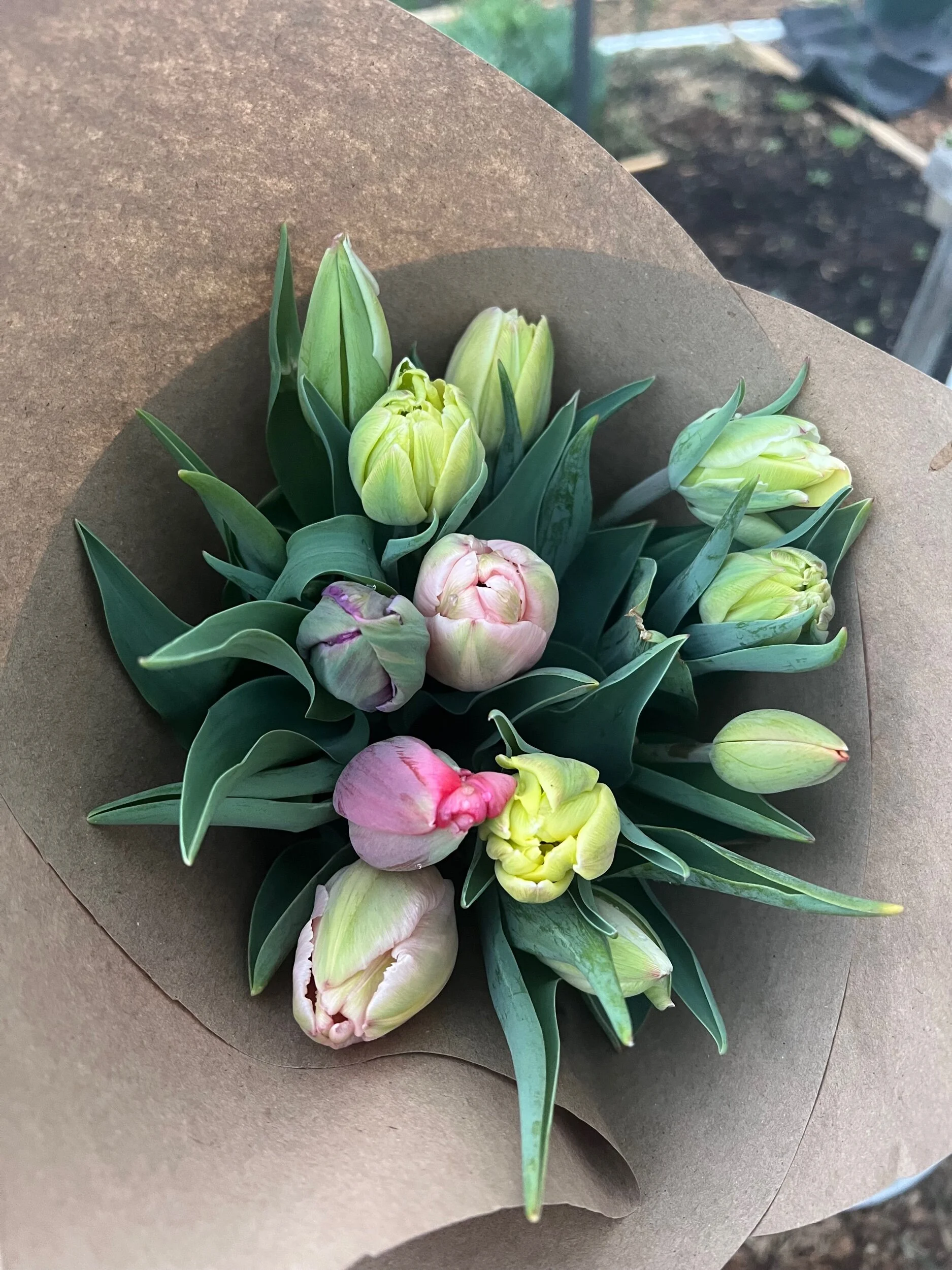 C846E1EE-B5AE-4067-B3B6-EAC38730B893