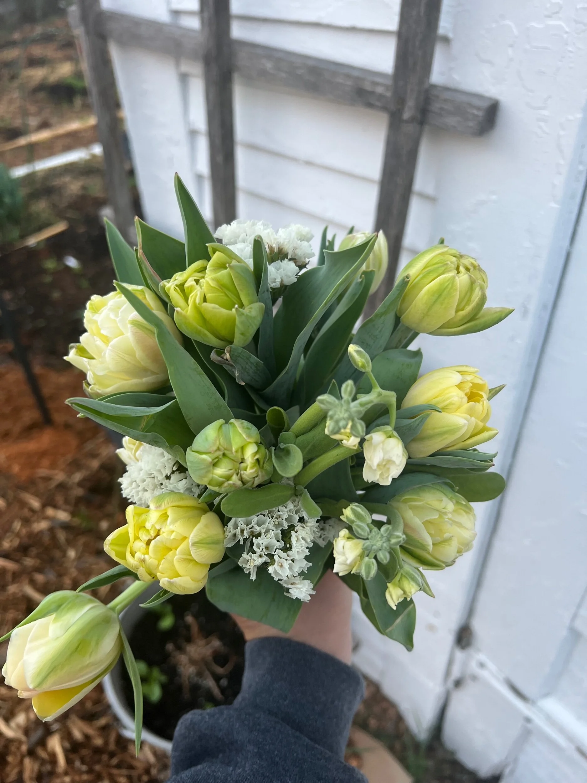 87E7F48D-4AA1-4233-9A69-4786A89E21F8