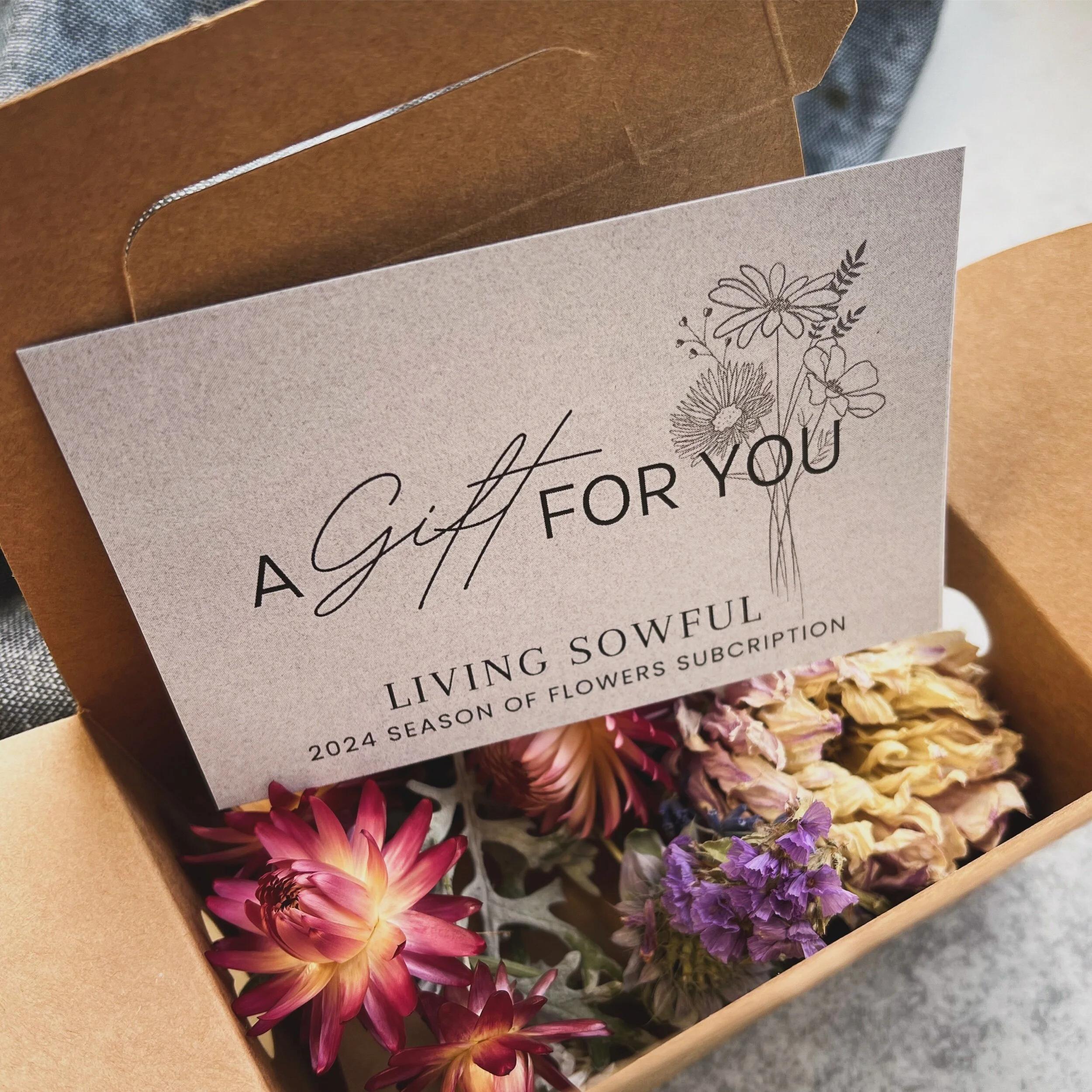 713F97EF-9F54-4E81-80DD-1858DCED51BF