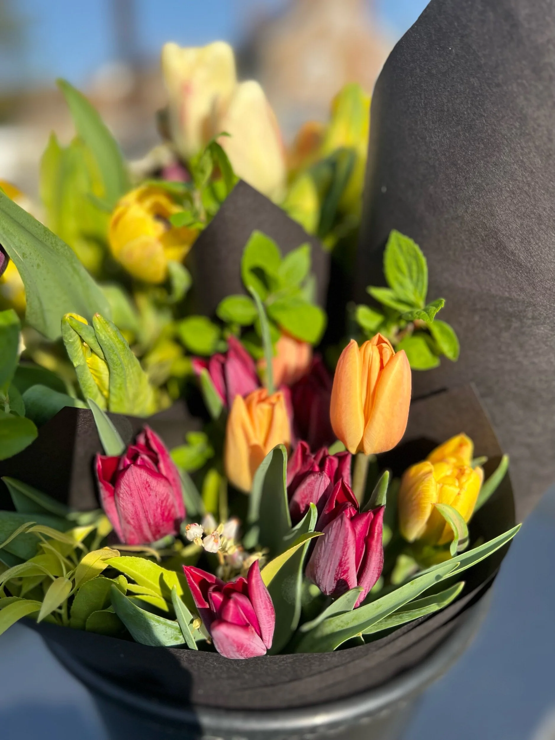 2CEA7B32-CD83-4EBF-B552-48E80ADCB9AD