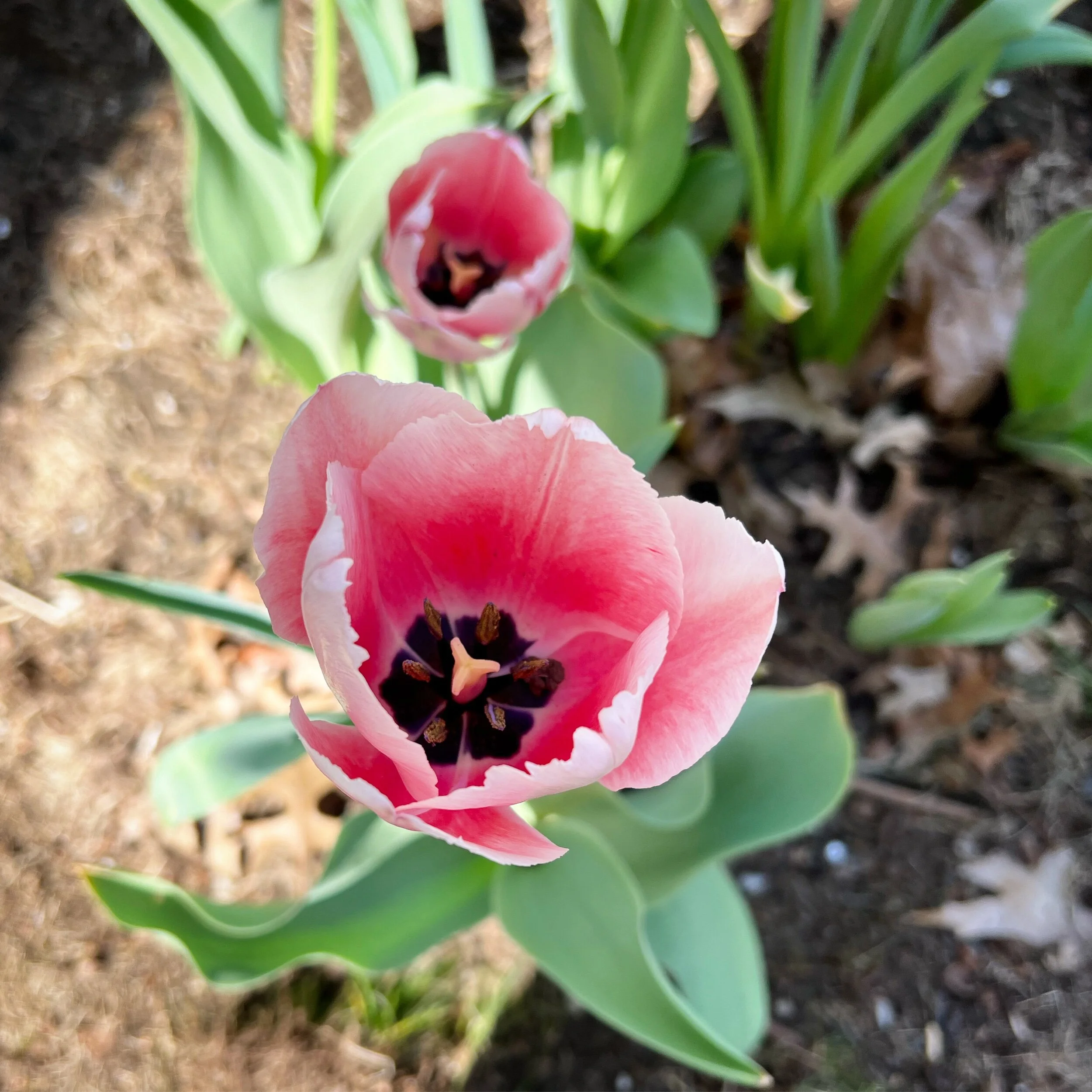 4BEAEF29-39A5-4A38-B81E-23EA092B8D64