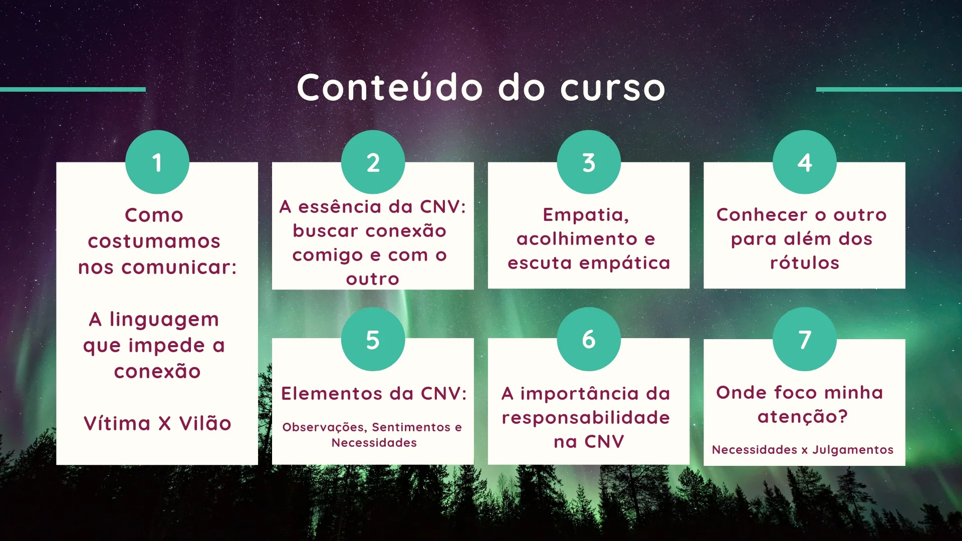 The Curriculum.jpg