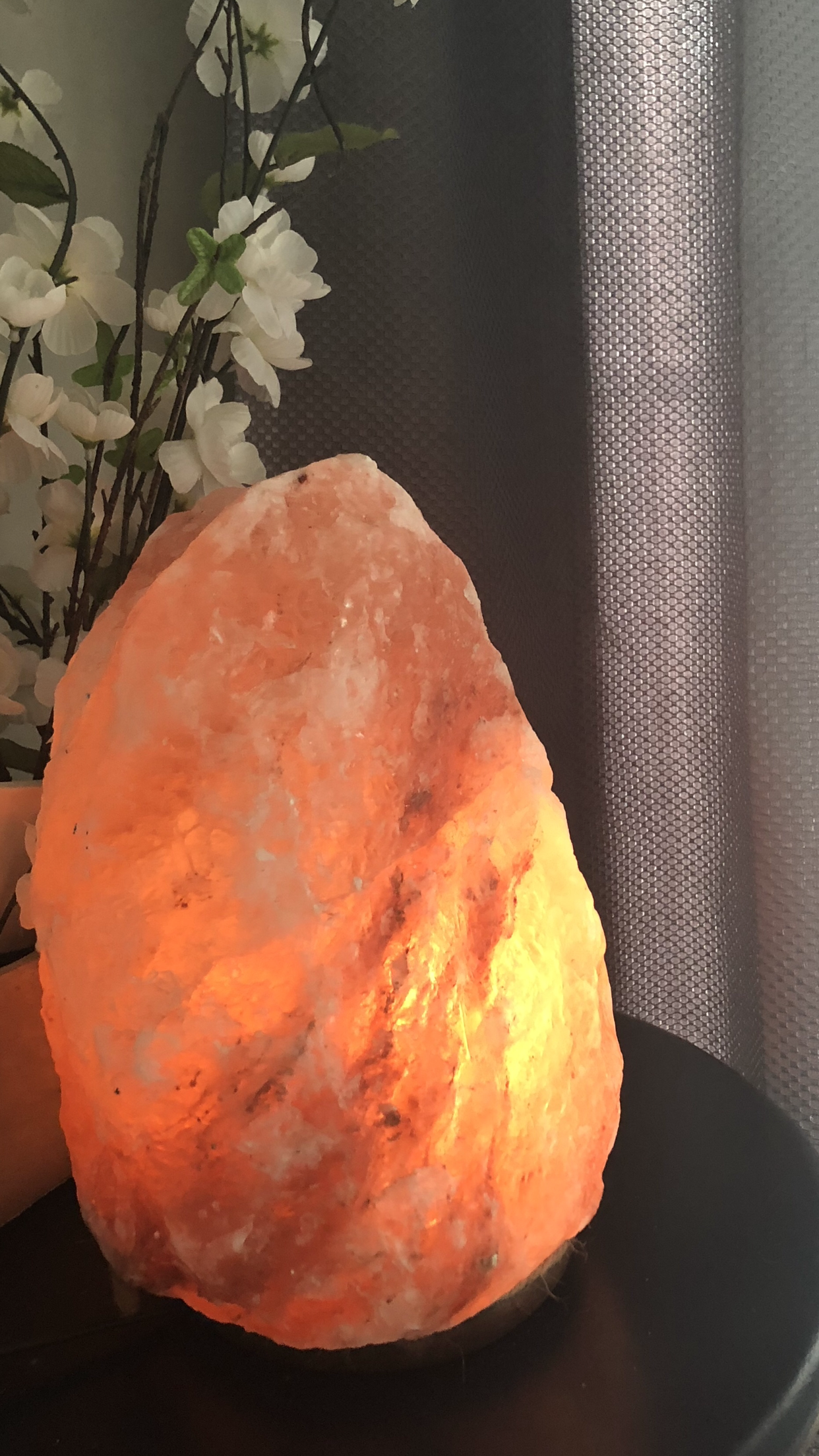 Himalayan Salt Lamp