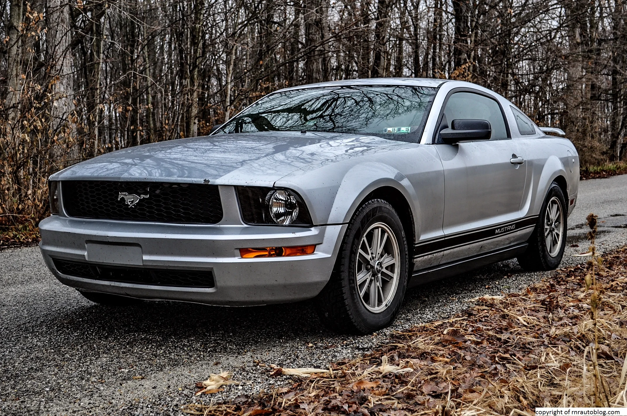 mustang-5.jpg