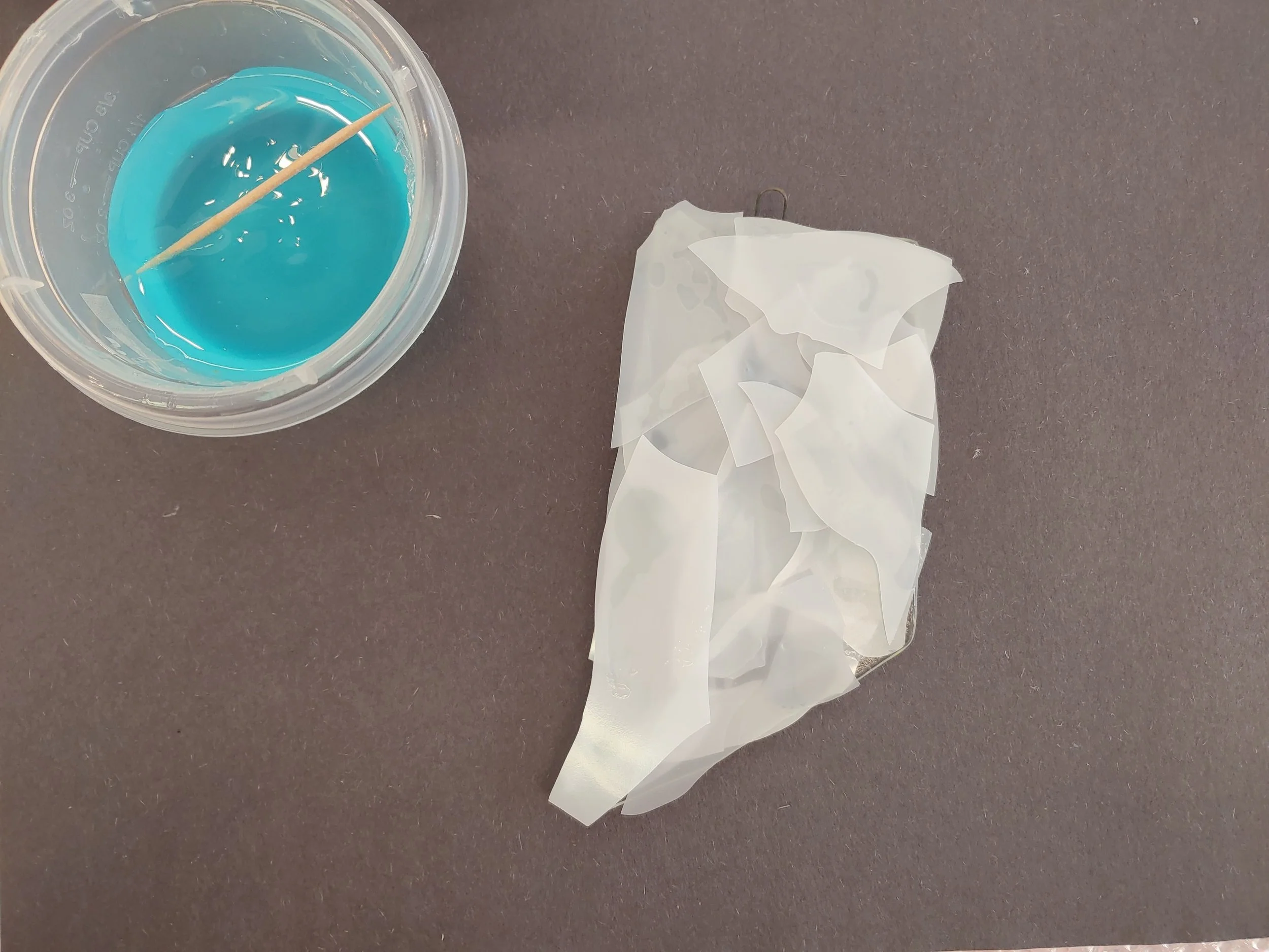 20191007_145949.jpg