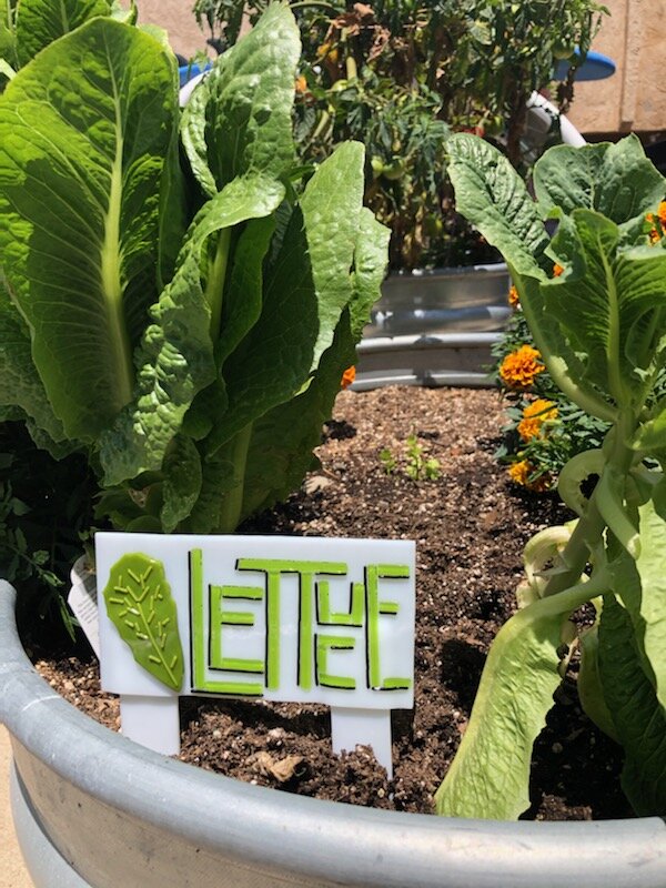 OB Lettuce Garden Stake.jpg