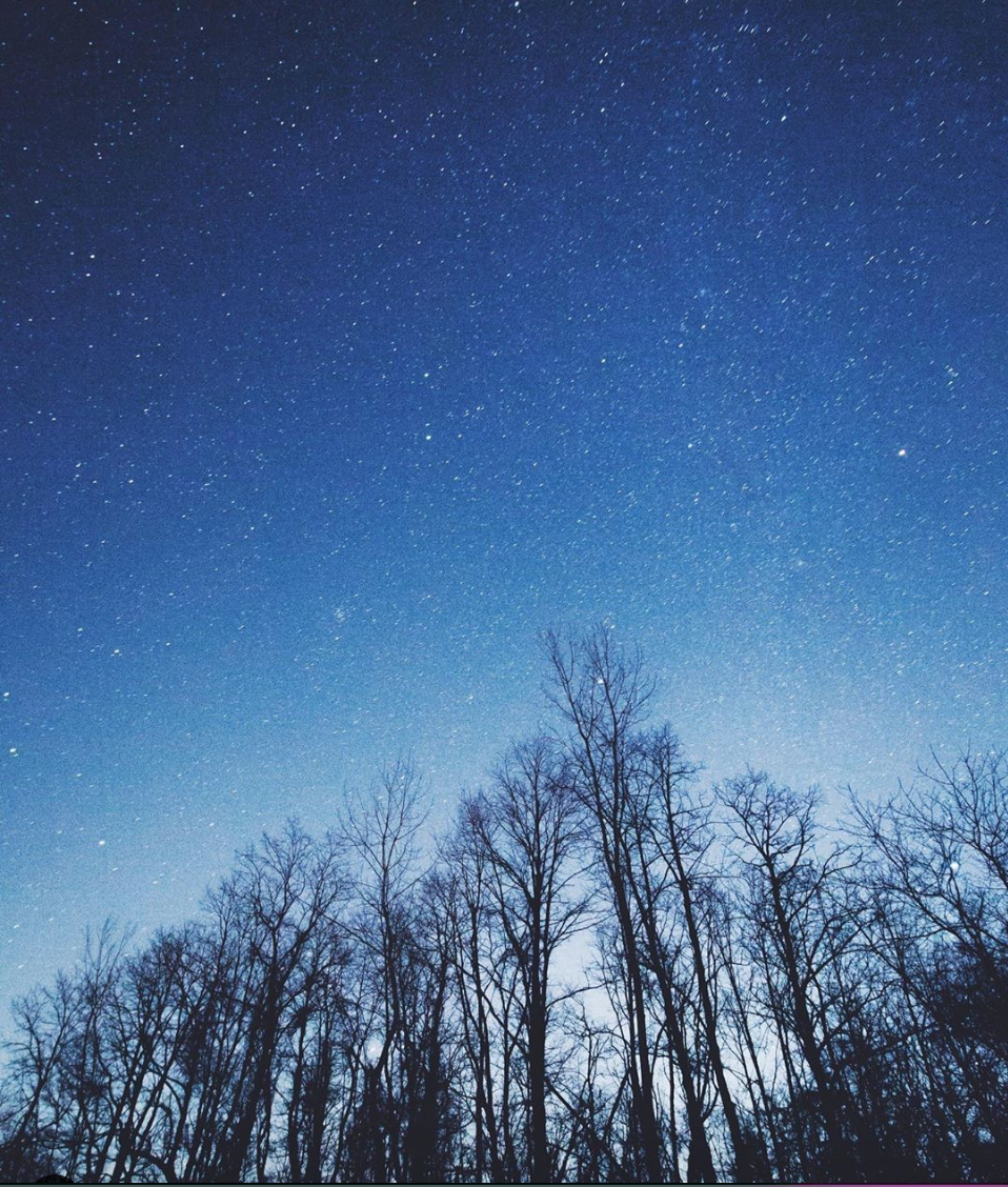“And who will stand with us?”- A message from the Trees
