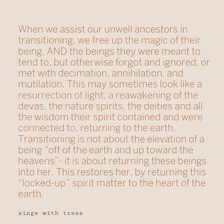 This is just the tip of the iceberg when it comes to WHY Ancestral Healing is so needed at this time.
⁣
This, and not to mention the great stores of energy we free up, and allow ourselves to become resourced, supported, seen and known by- when we mee