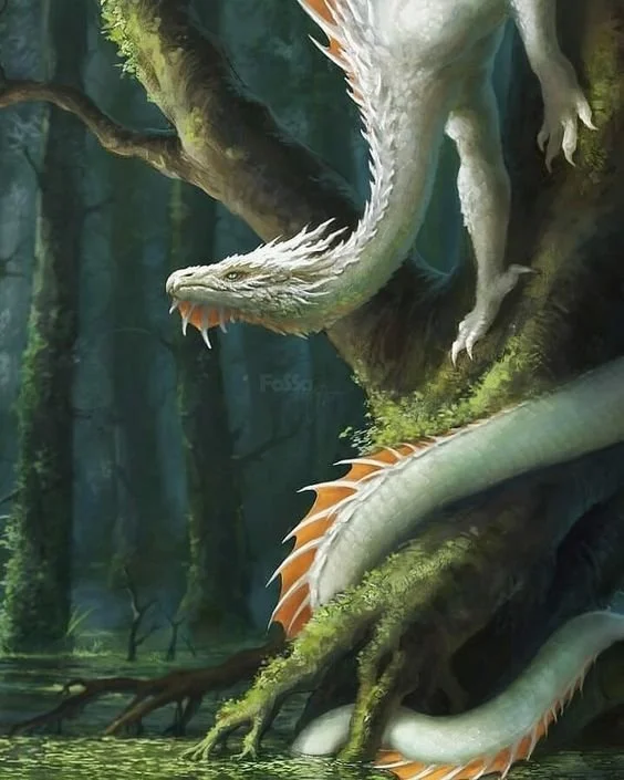 Enter the Dragon's Door