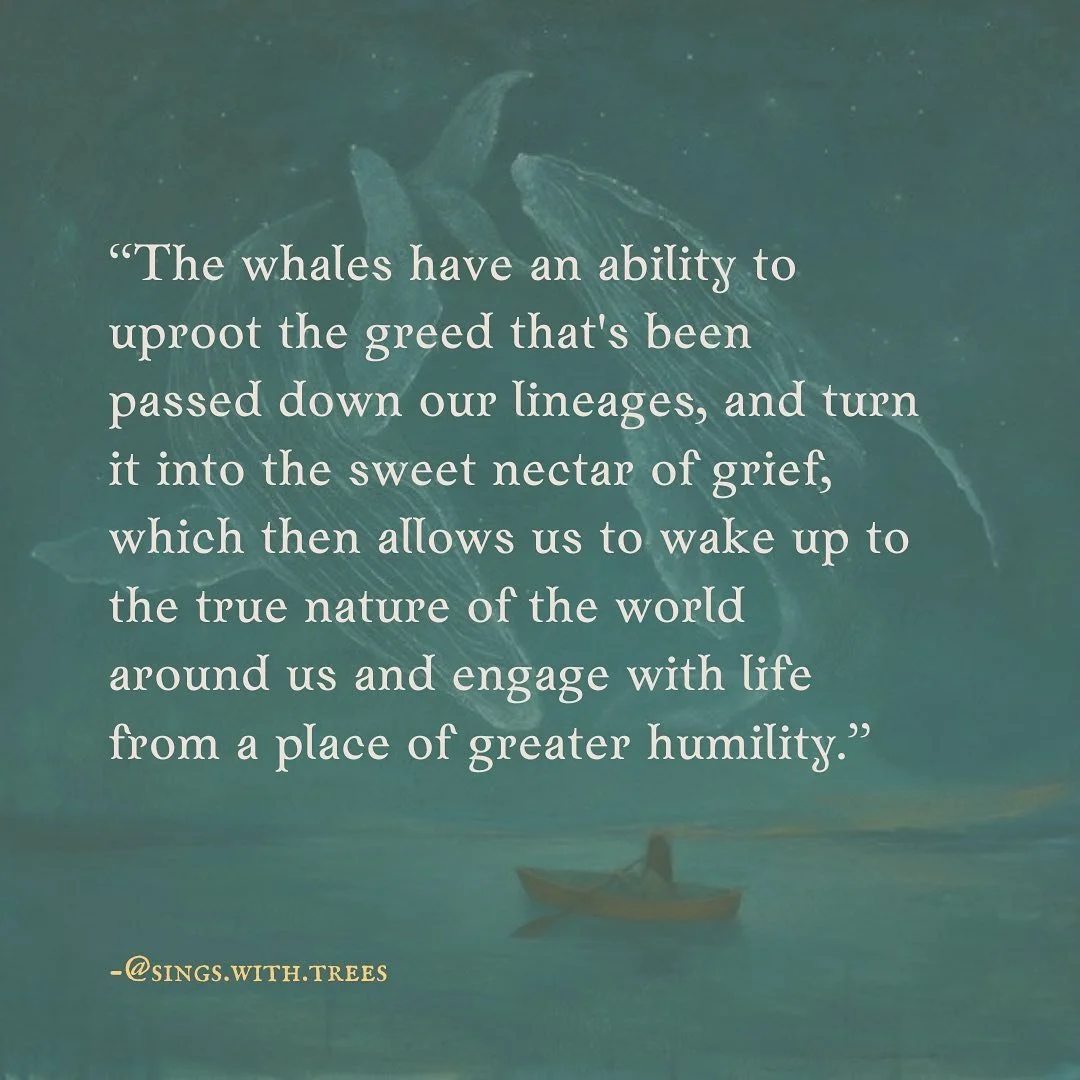 If you've heard me speak of the whales before, you'll know that I've experienced them as master alchemists of our emotional wastelands. They have an ability to uproot the greed that's been passed down our lineages, and turn it into the sweet nectar o