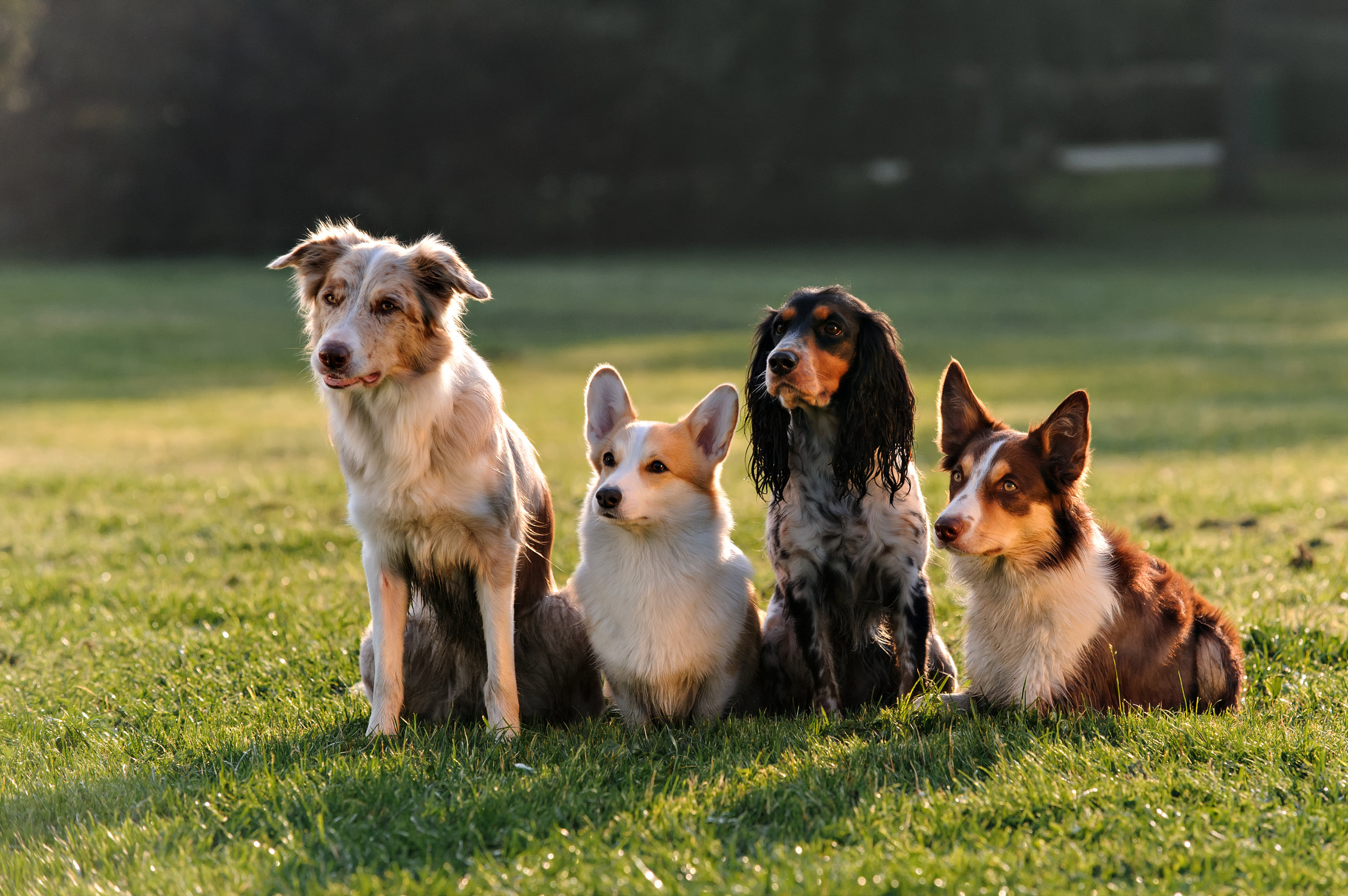 shutterstock_241192312.jpeg