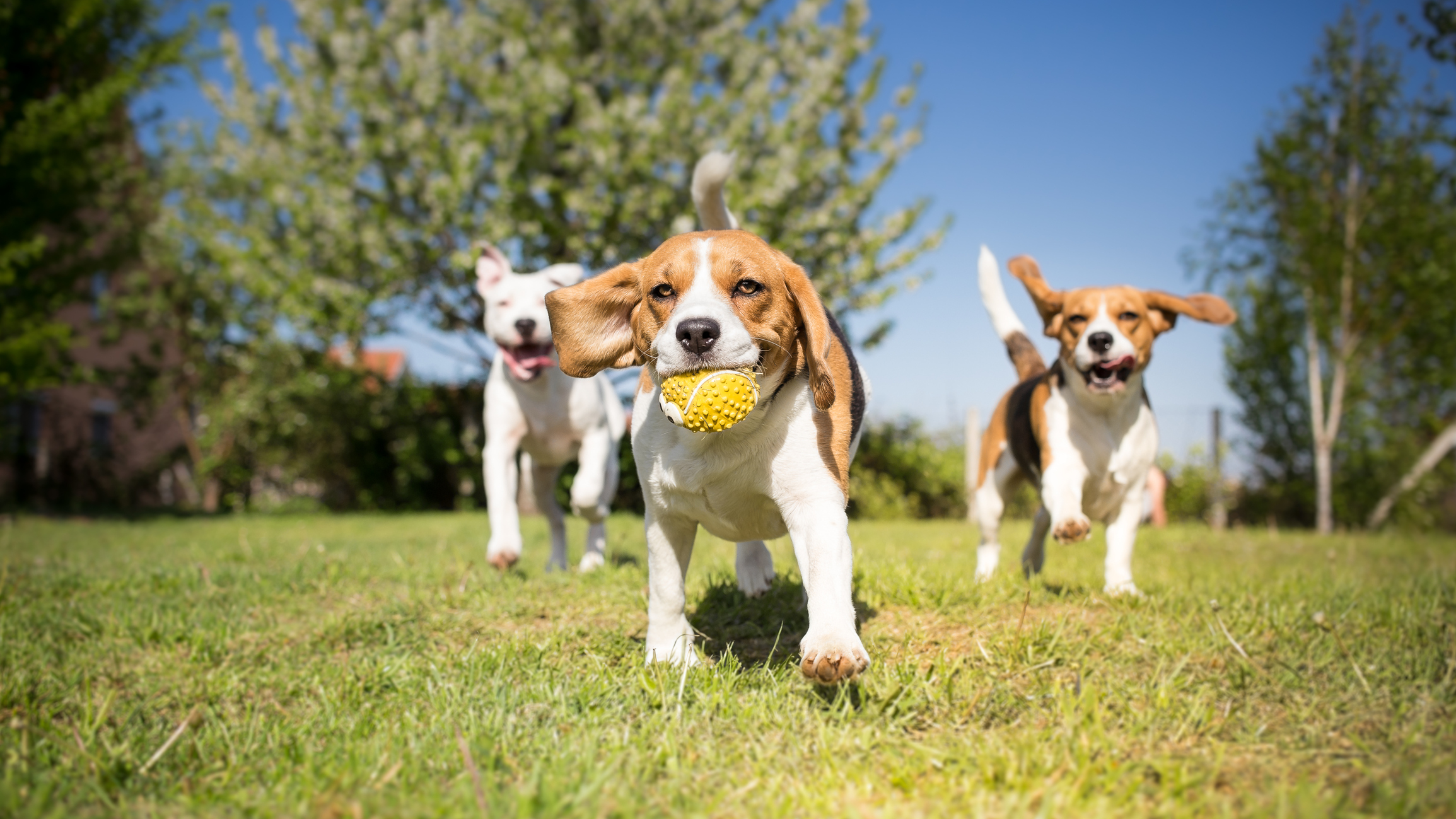 Photo by Lunja/iStock / Getty Images