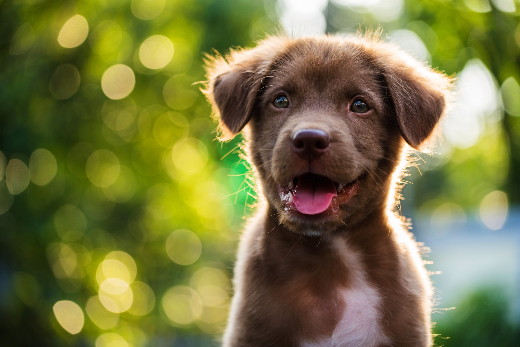 Photo by blanscape/iStock / Getty Images