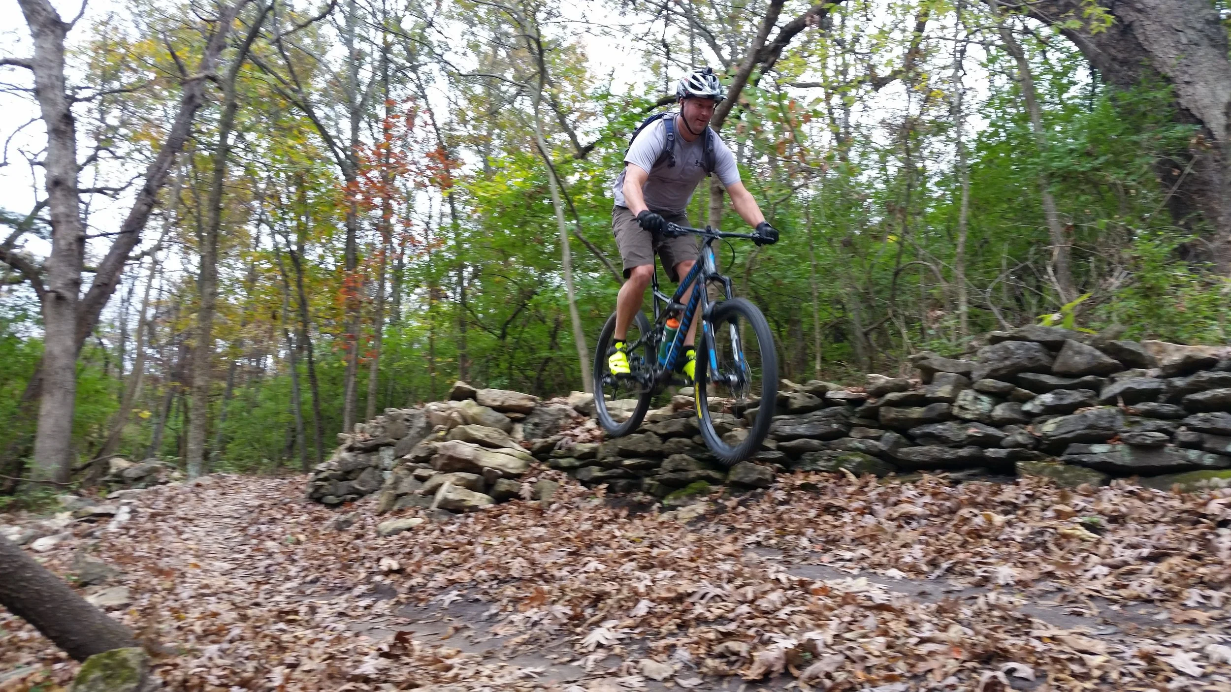 20161030_113657_003.jpg