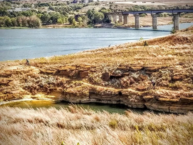 switchgrass.jpg