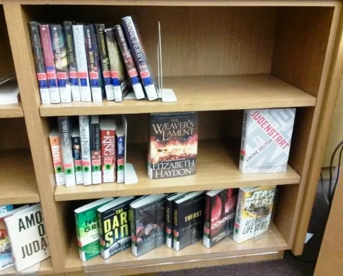 fairoakslibrary-bookshelf1-cindyfazzipic.jpg