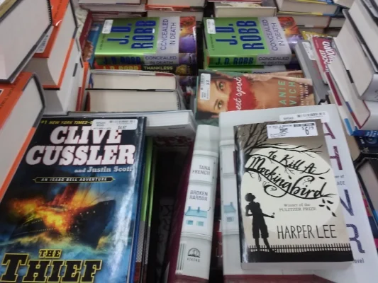 books-9-2015-cindyfazzipic.jpg