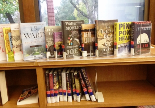 fairoakslibrary-bookshelf-cindyfazzipic.jpg