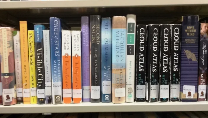 books4-cindyfazzipic.jpg