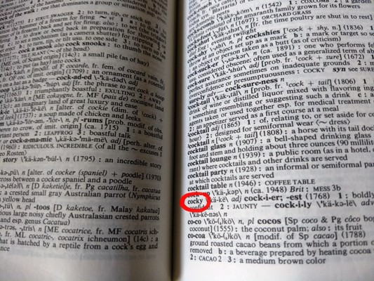 dictionary-word-cindy-fazzi-pic.jpg