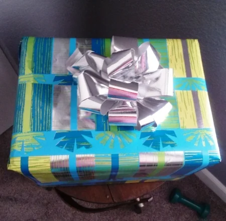 gift2-cindyfazzipic.jpg