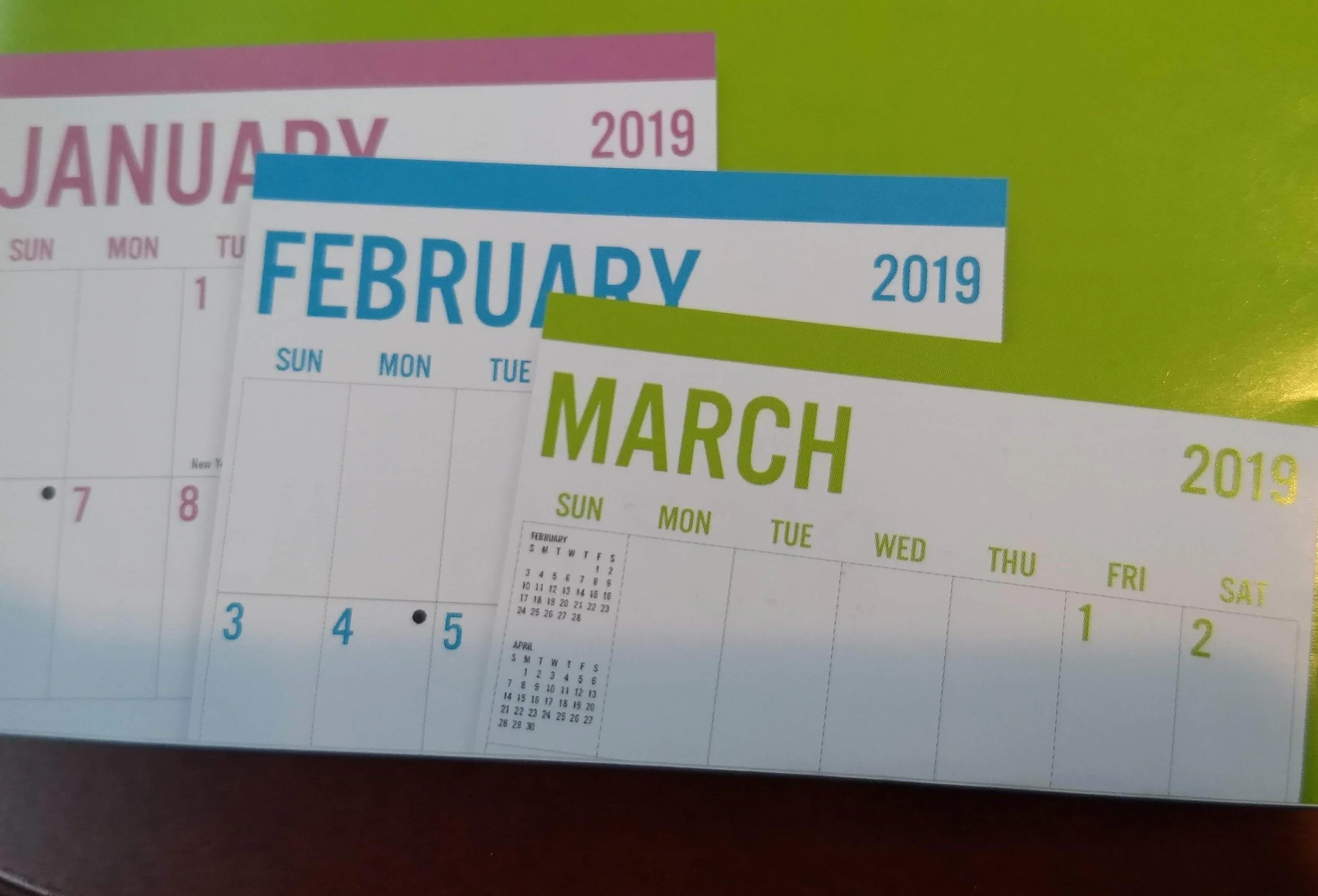 2019_calendar_cindyfazzipic.jpg
