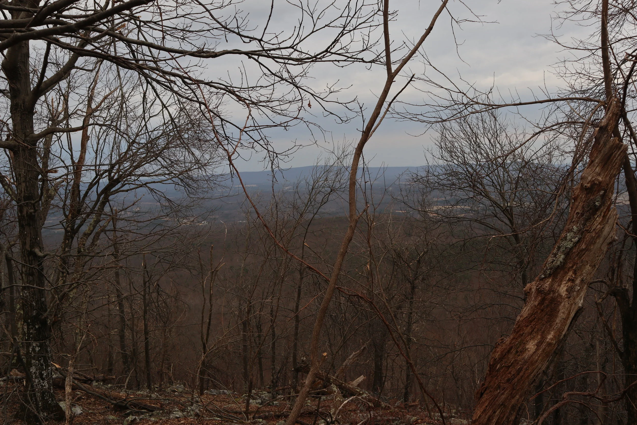 How long will I be out here?