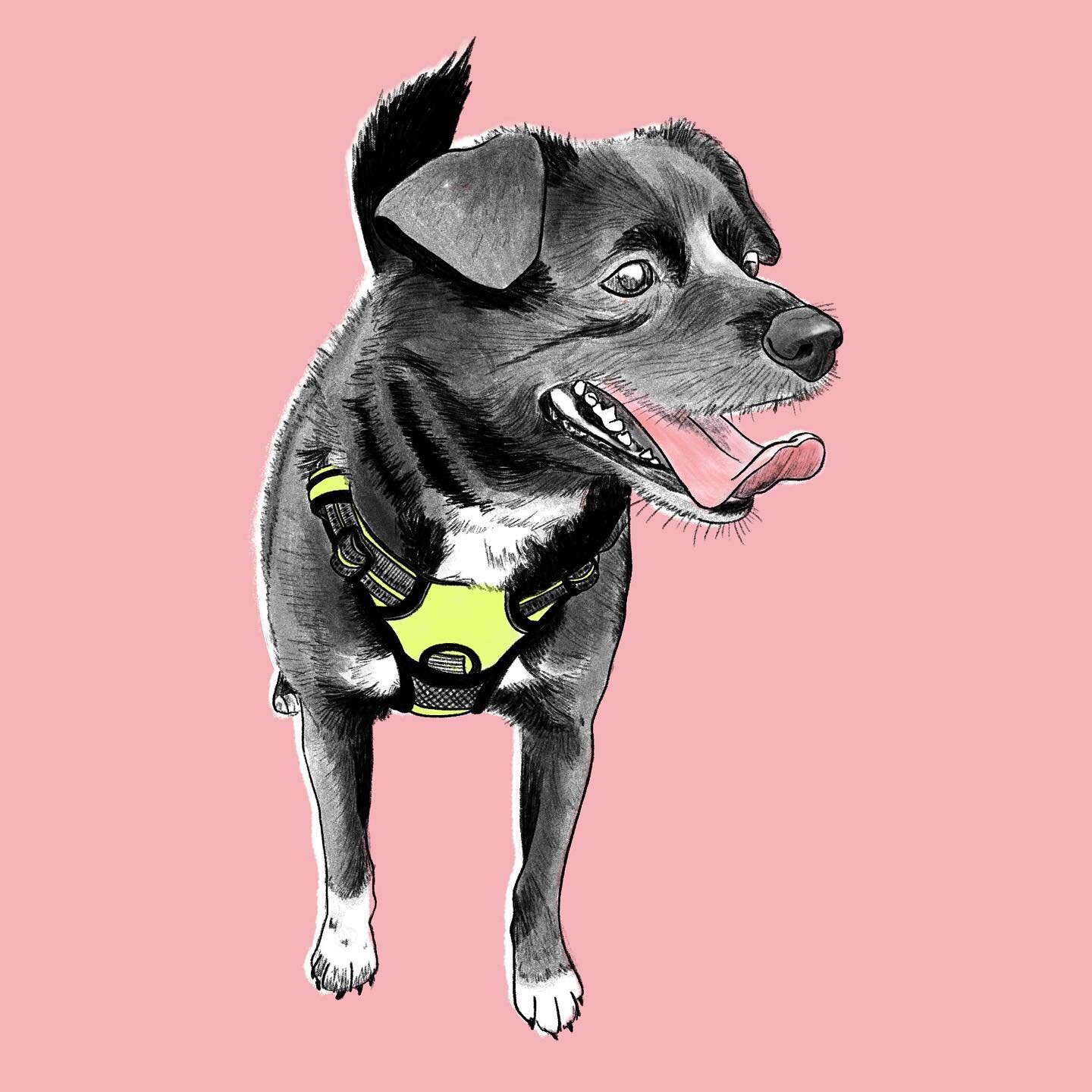 Spending some time in NH with family for the holidays. Always happy to see my pup💖
.
.
.
.
.
#art #artistsofinstagram #bysmyrdek #illustration #illustagram #illustrationart #illustratorsofinstagram #design #designersofinstagram #graphicdesign #nh #d