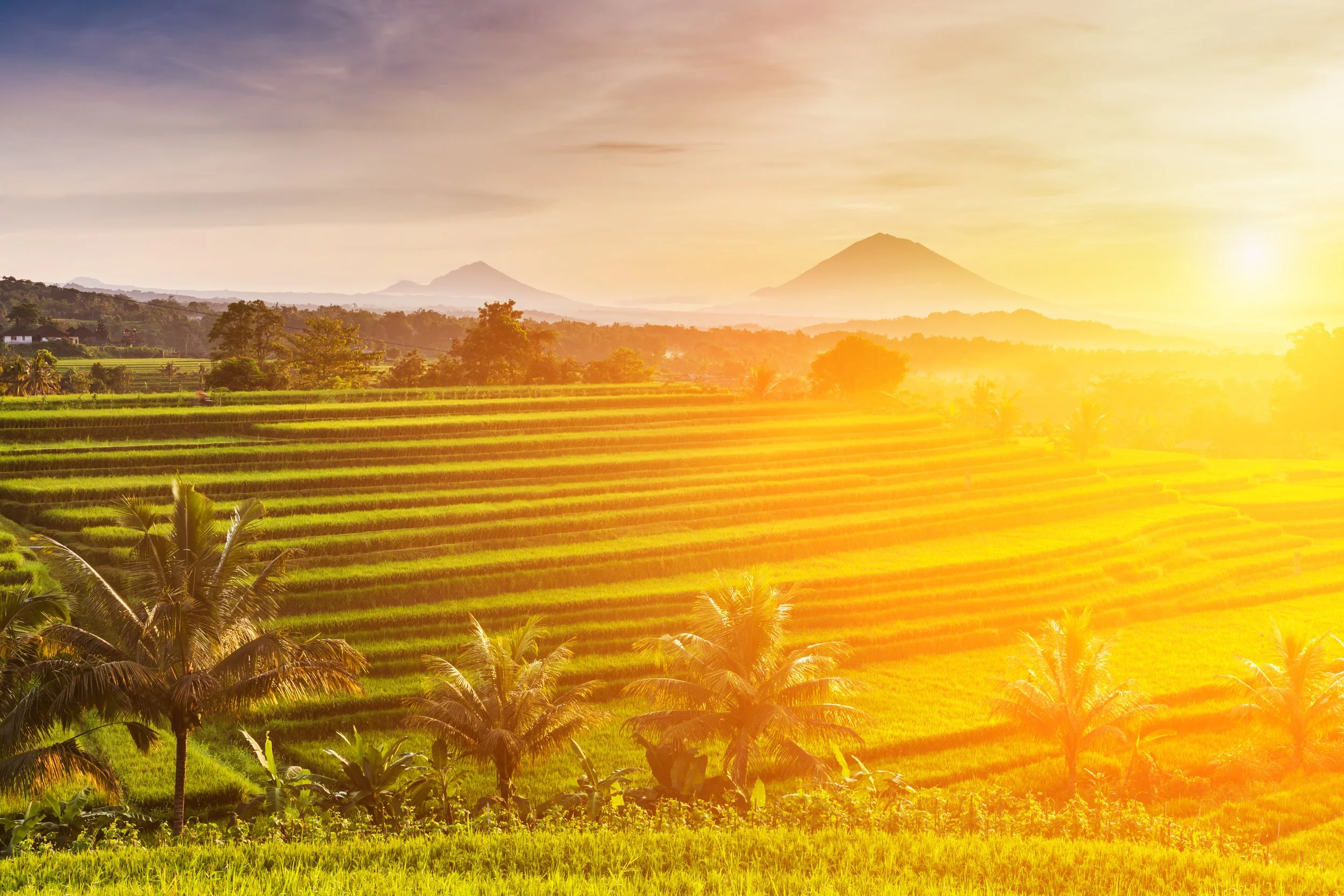 Rice Terraces_Sunrise.jpg