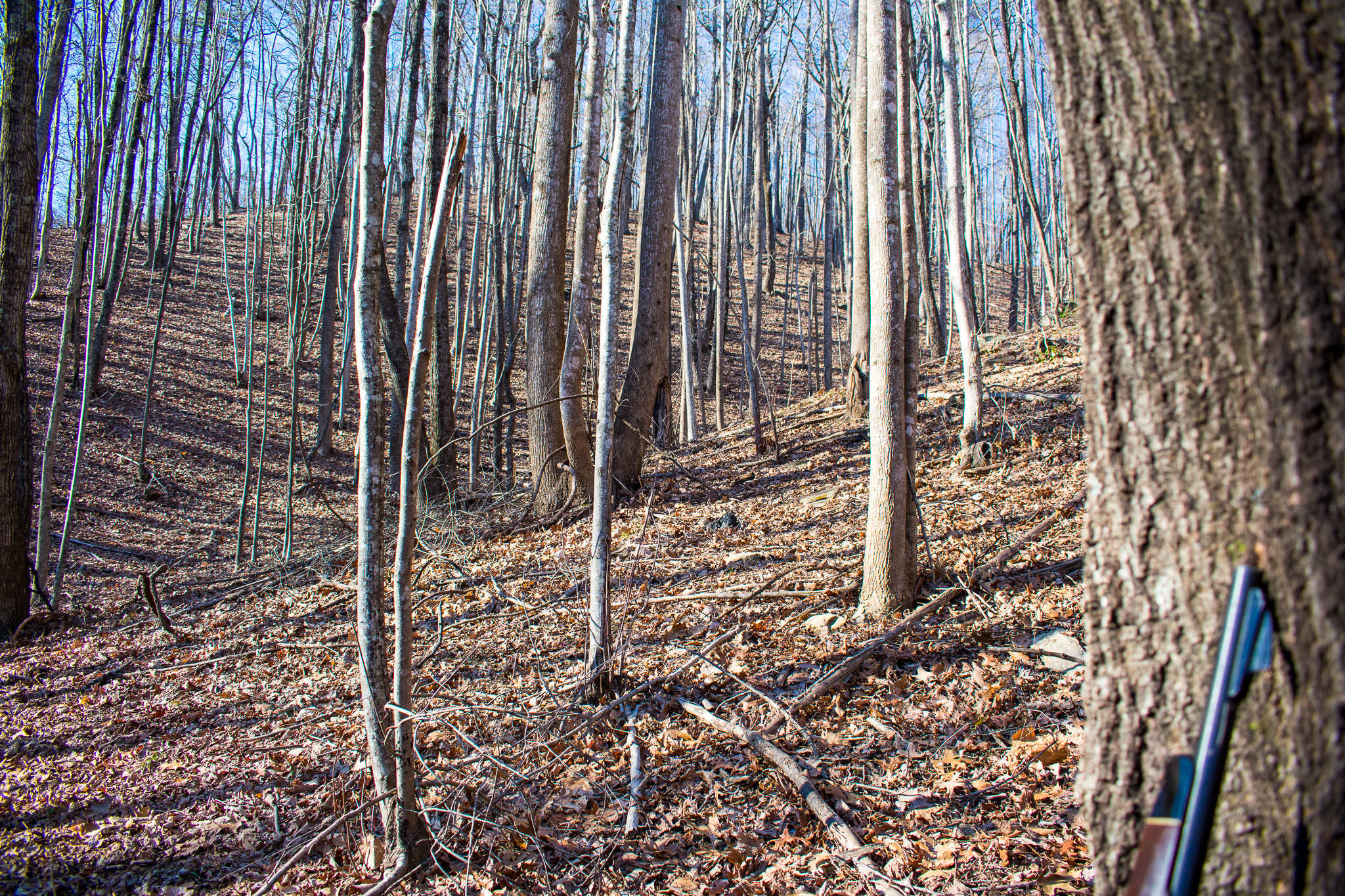 DSC_0202.jpg
