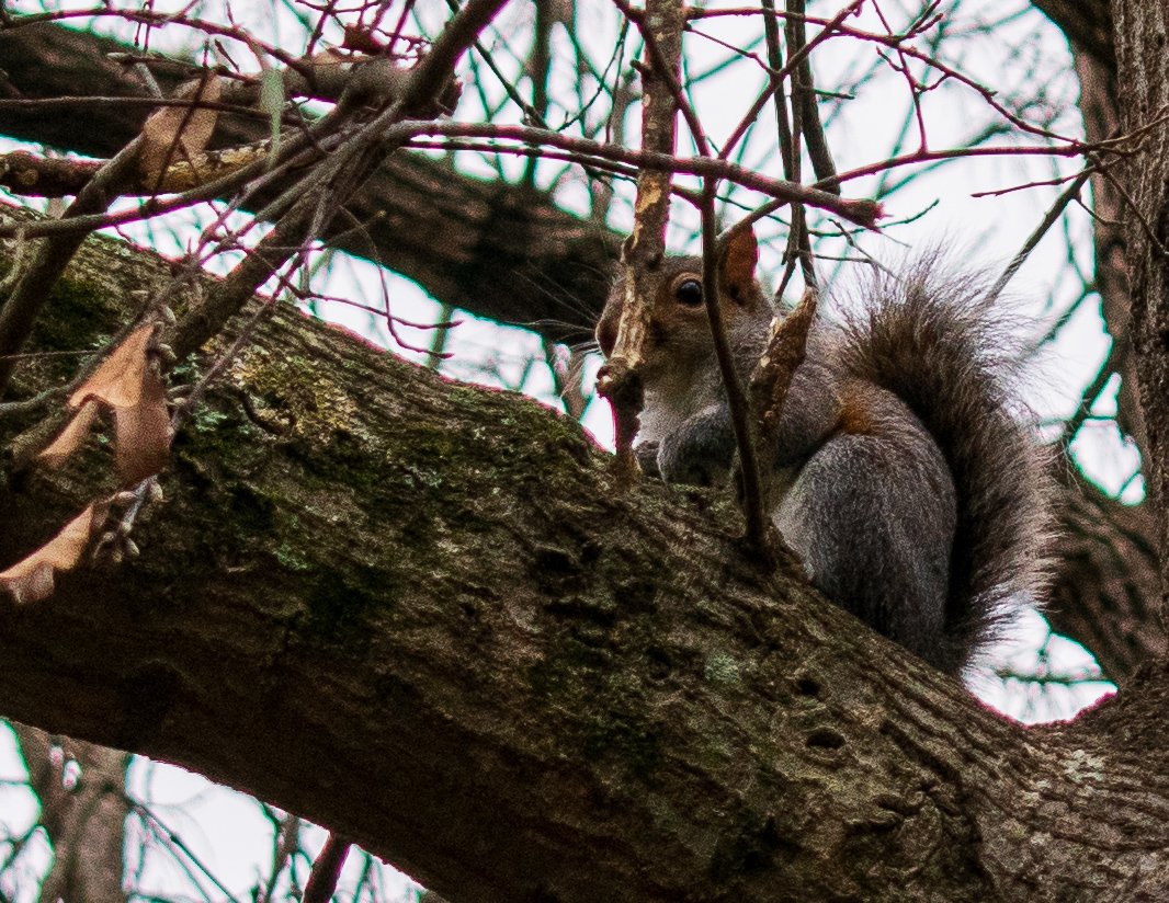 DSC_0073.jpg