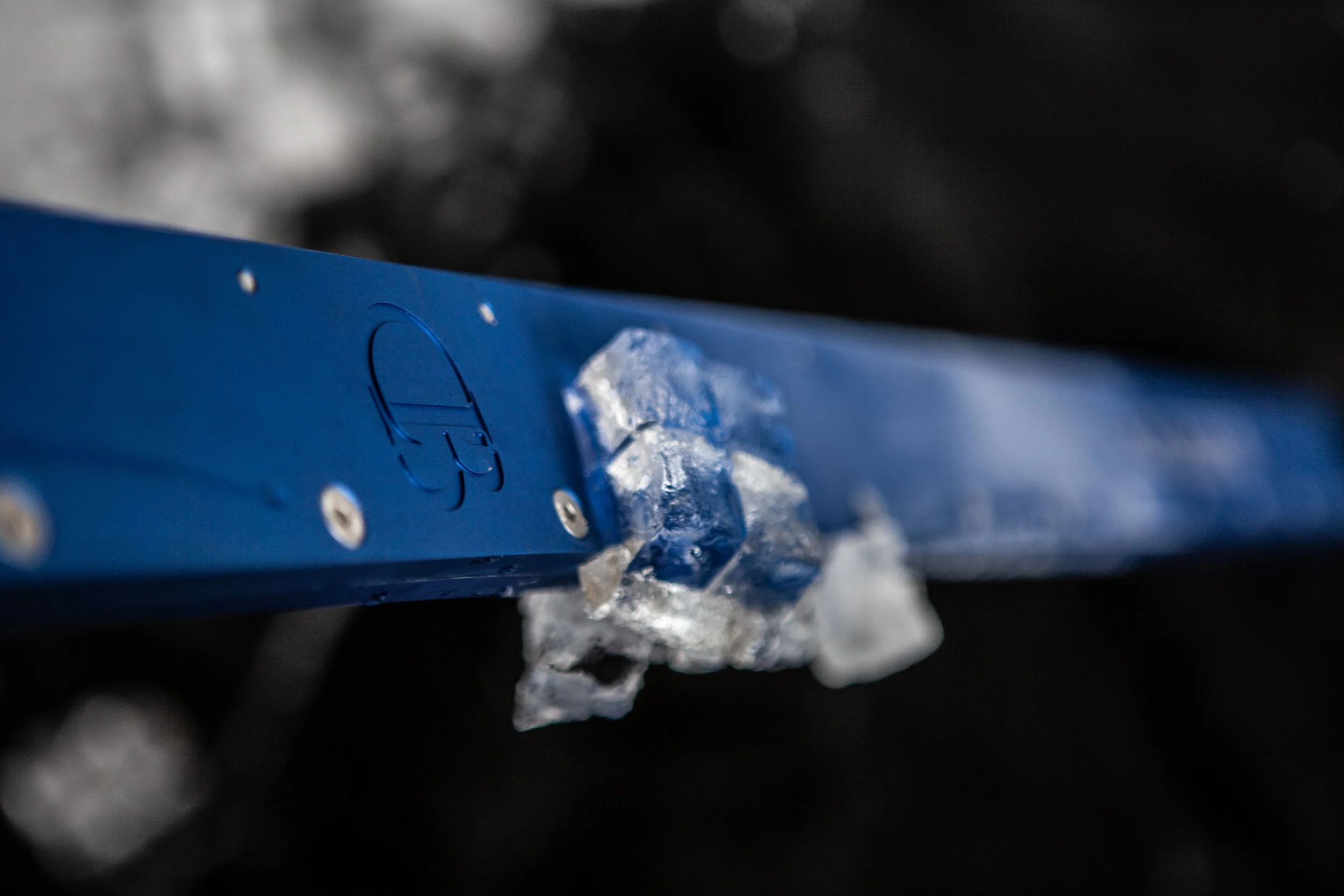 _MG_6545.jpg