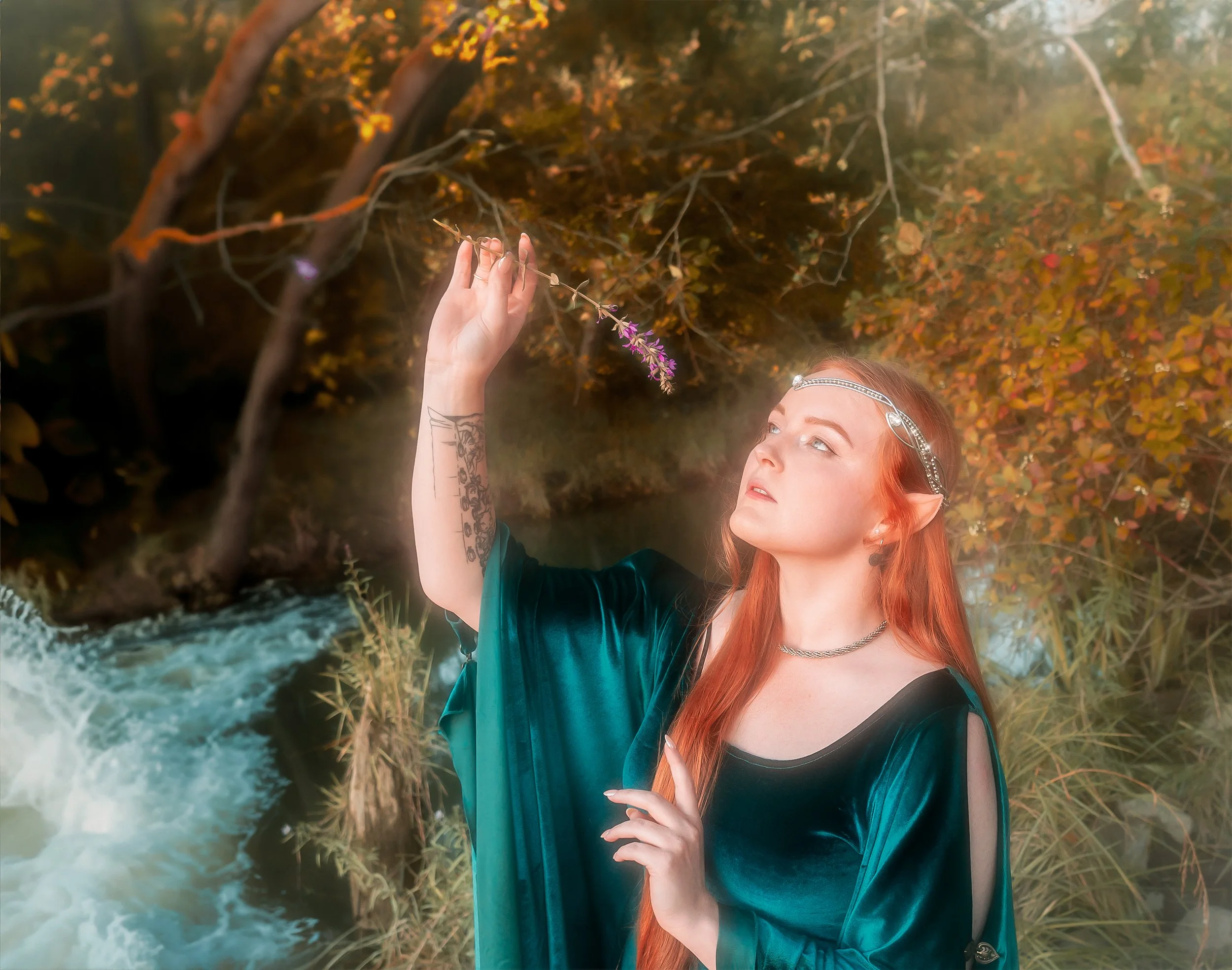 Holly-4.jpg