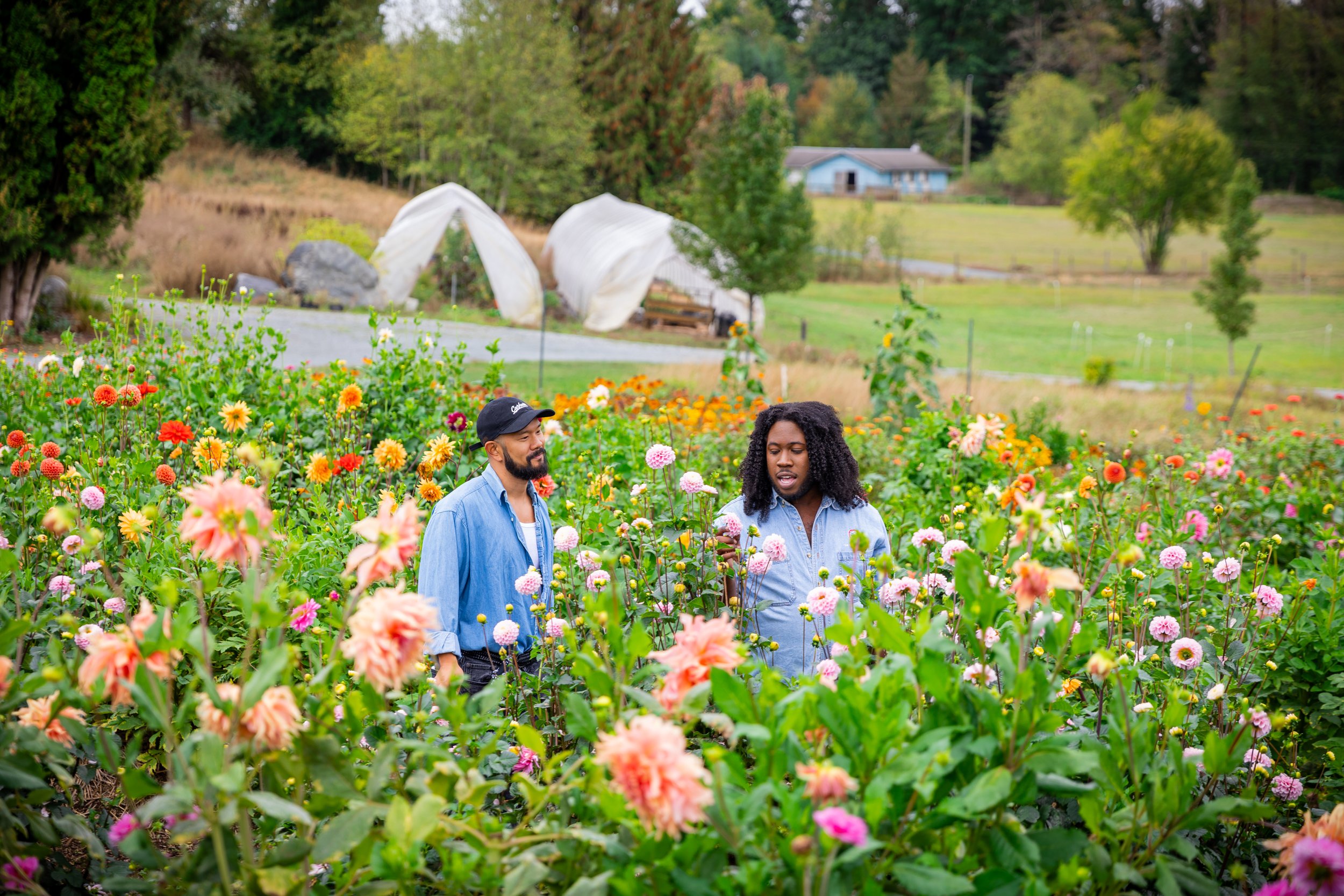 Tafari BTS - Langely Farm-05.jpg