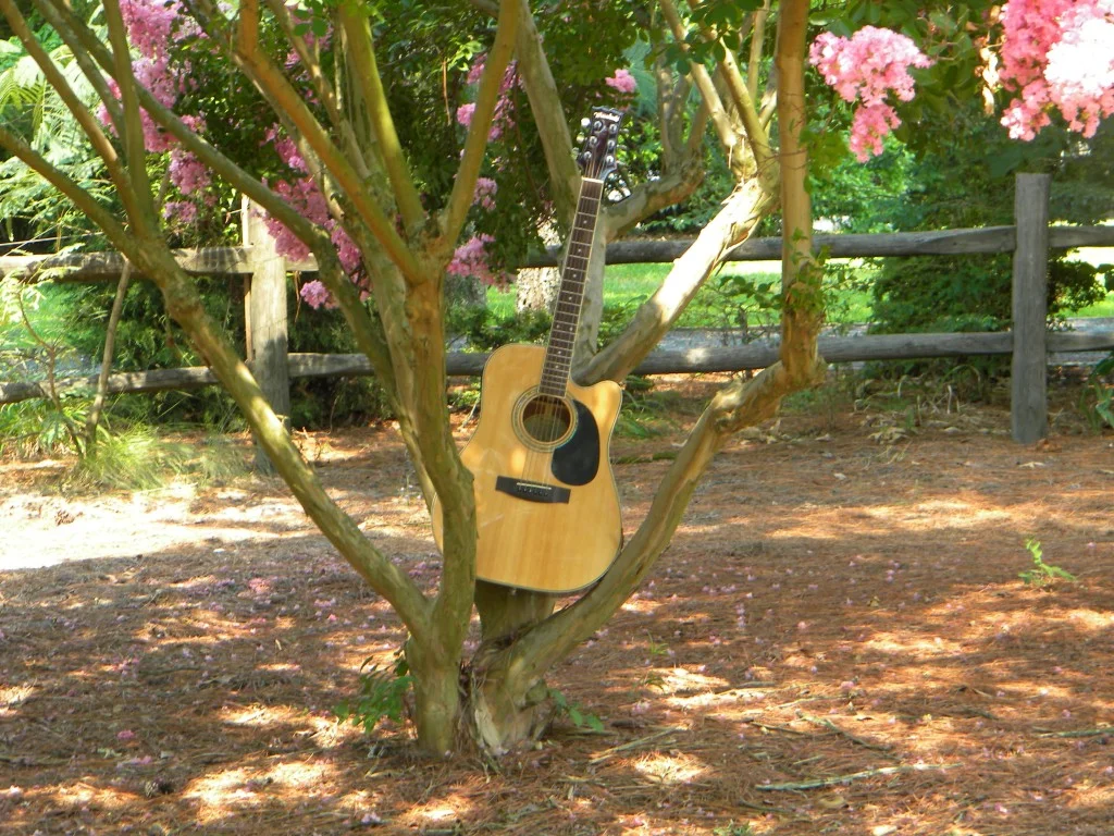 crepemyrtle_0037-1024x768.jpg
