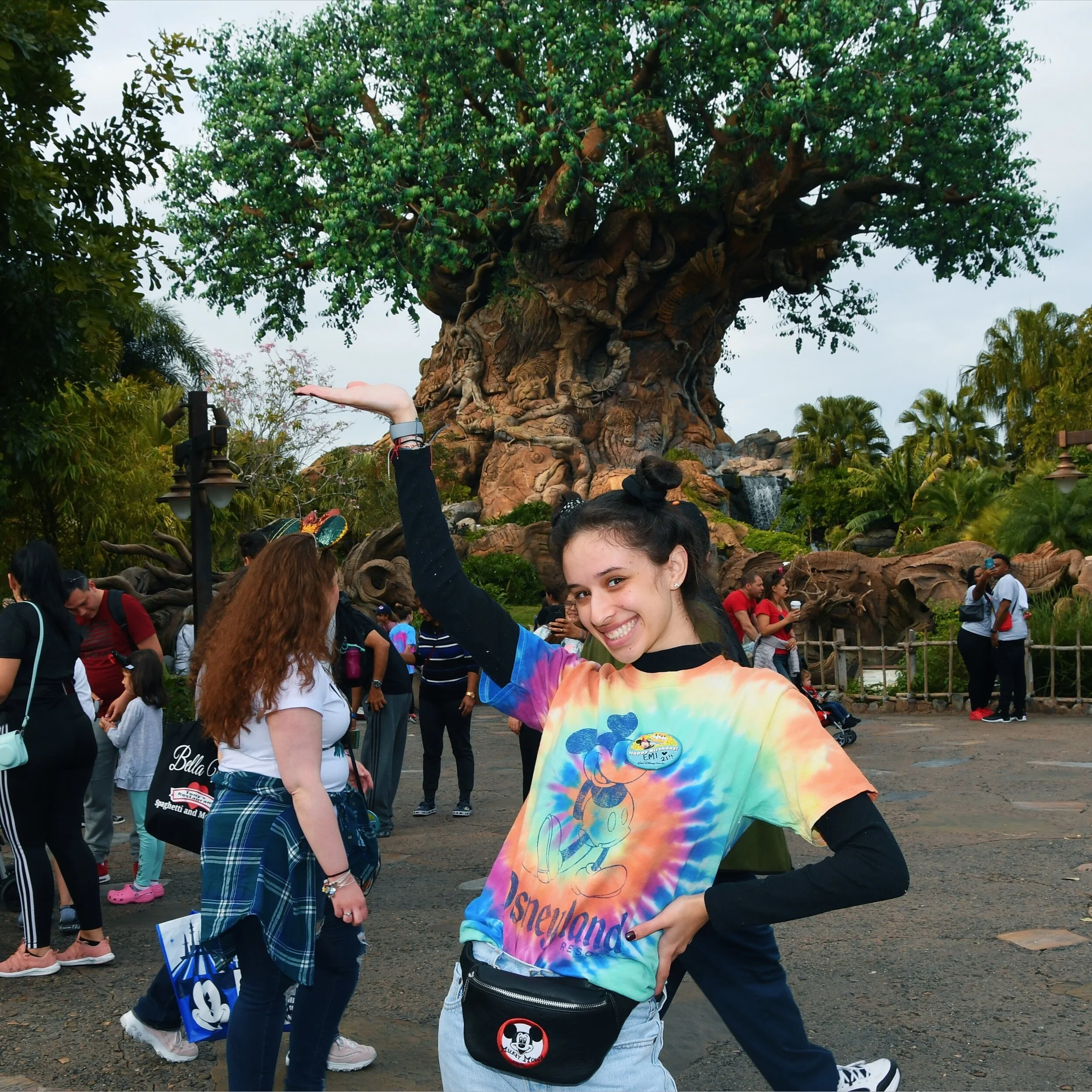 So... Why a Disney Blog?