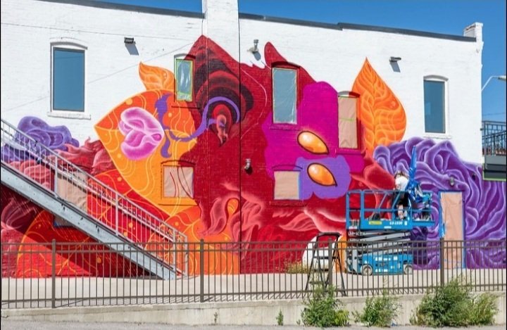  Photo by Todd Wilkins 