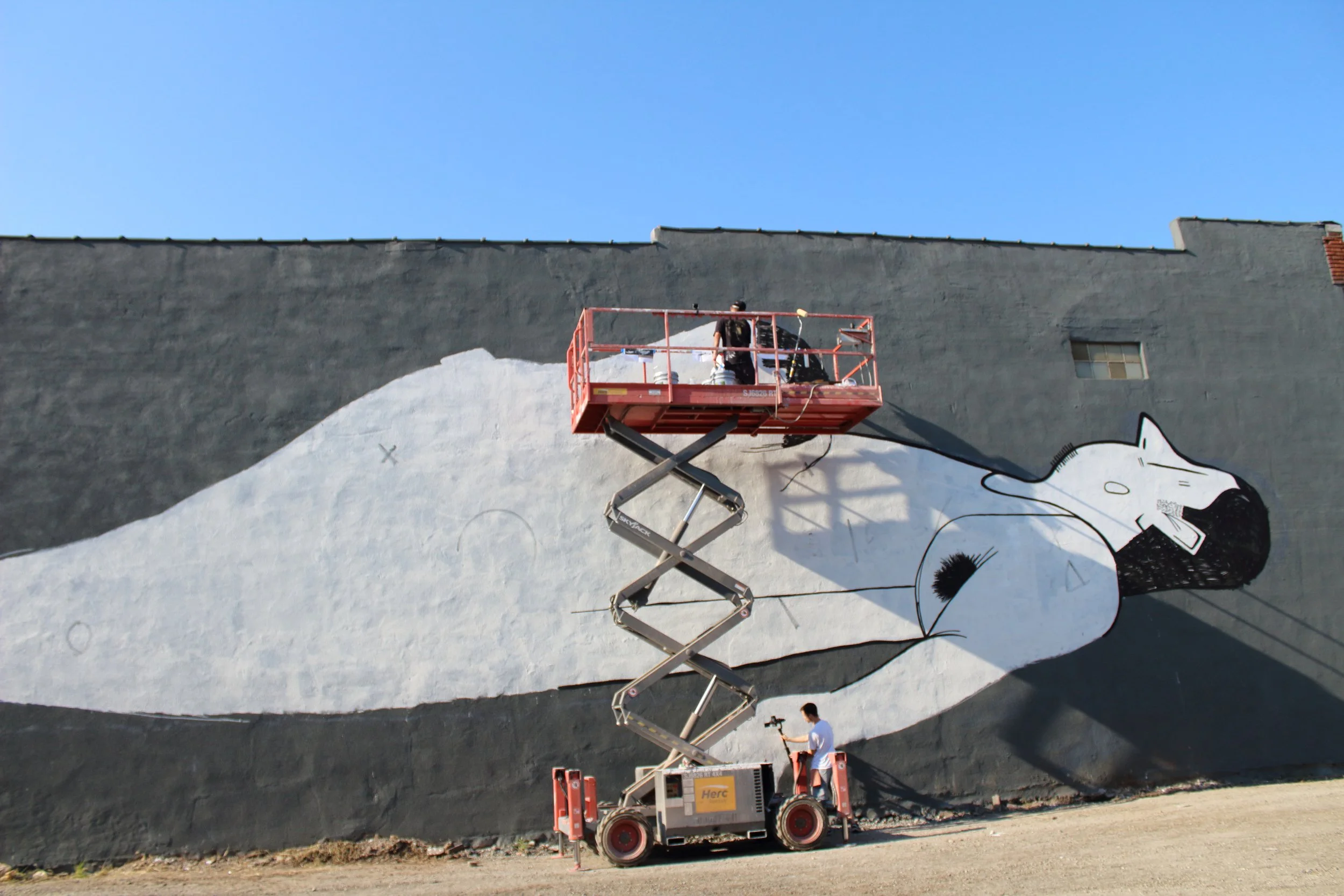  Photo by Chris Allegri 